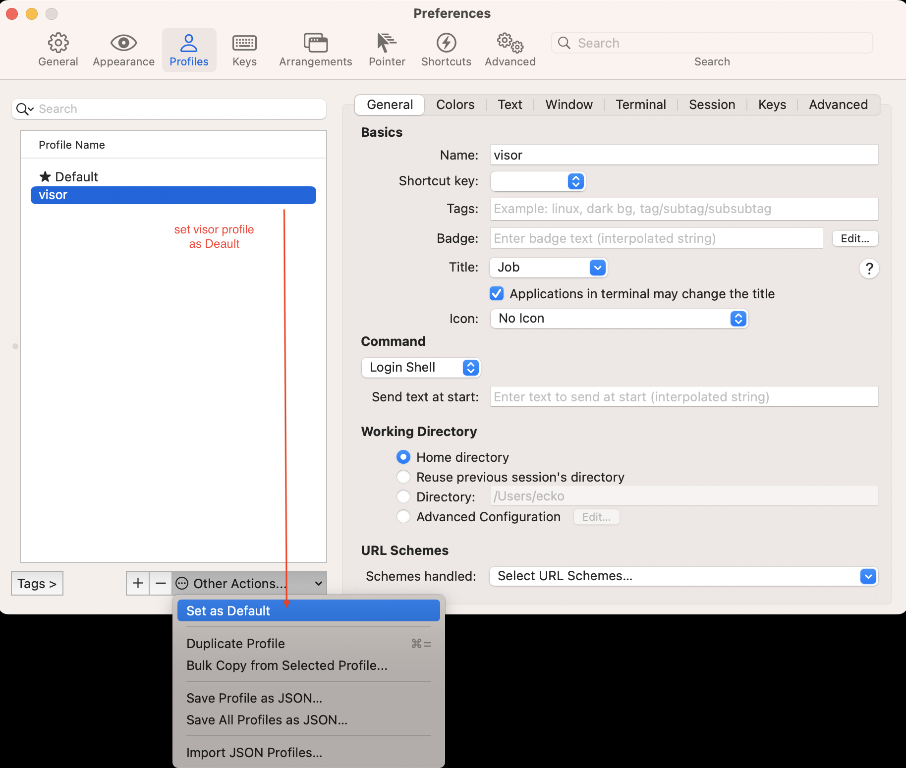 set visor profile to default